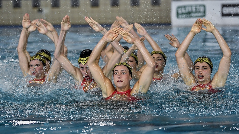 busto nuoto busto nuoto