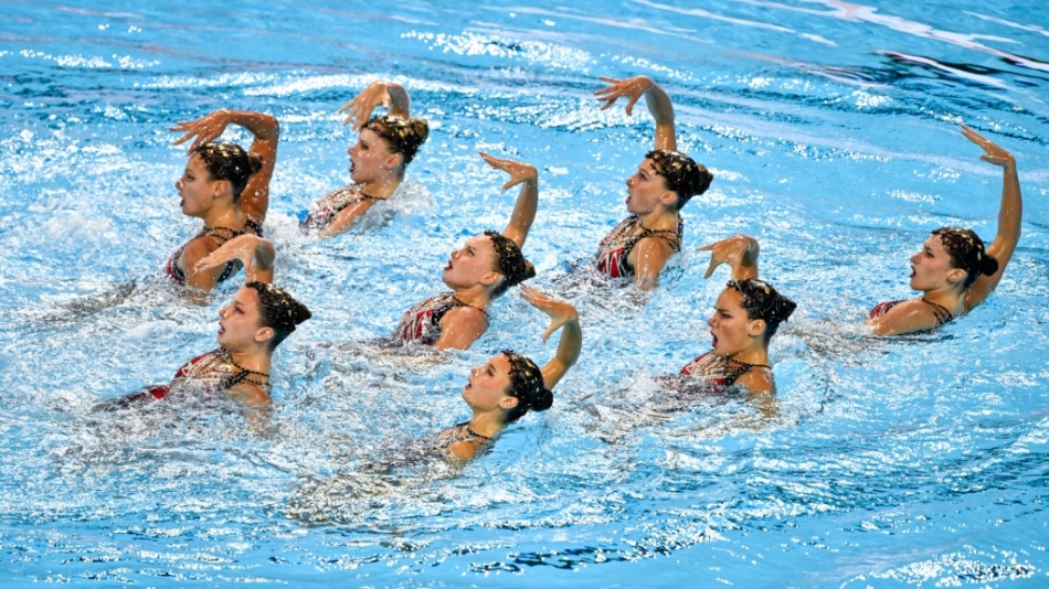 team tecnico - italia