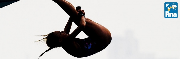 logo fina grand prix tuffi