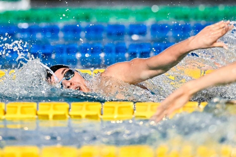 noemi cesarano noemi cesarano