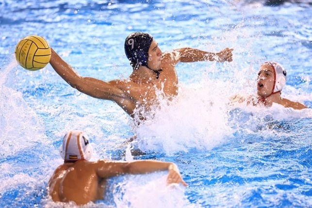 francesco scordo francesco scordo