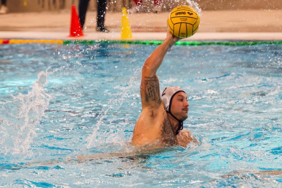 nicola bursac nicola bursac