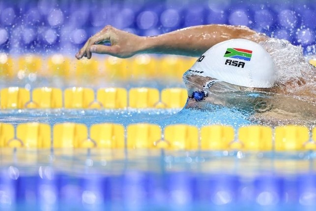 matthew sates matthew sates