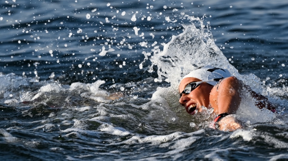 ginevra taddeucci ginevra taddeucci