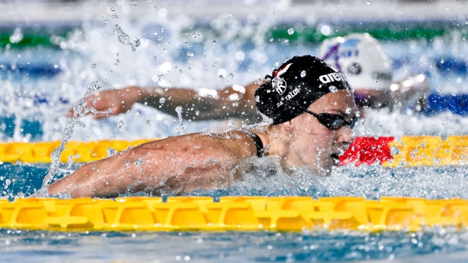 anita gastaldi anita gastaldi