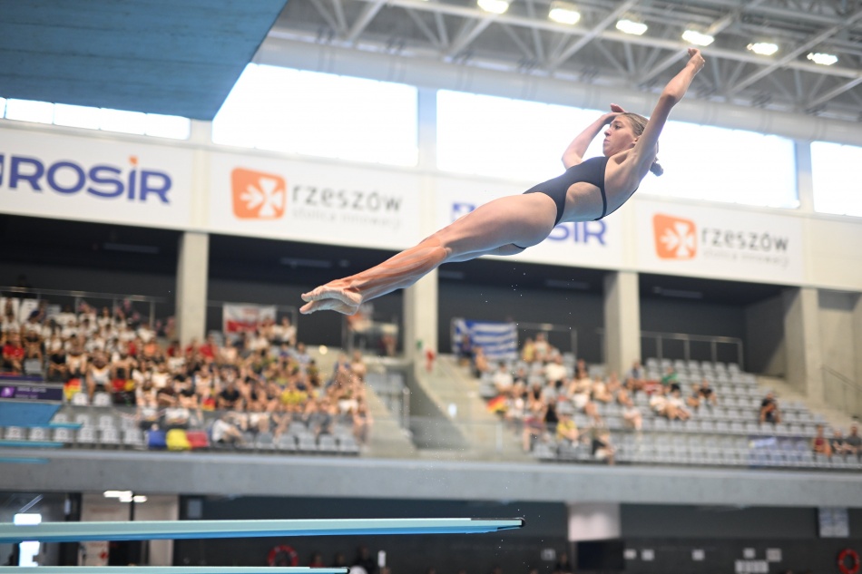 Diana Karnafel Diana Karnafel