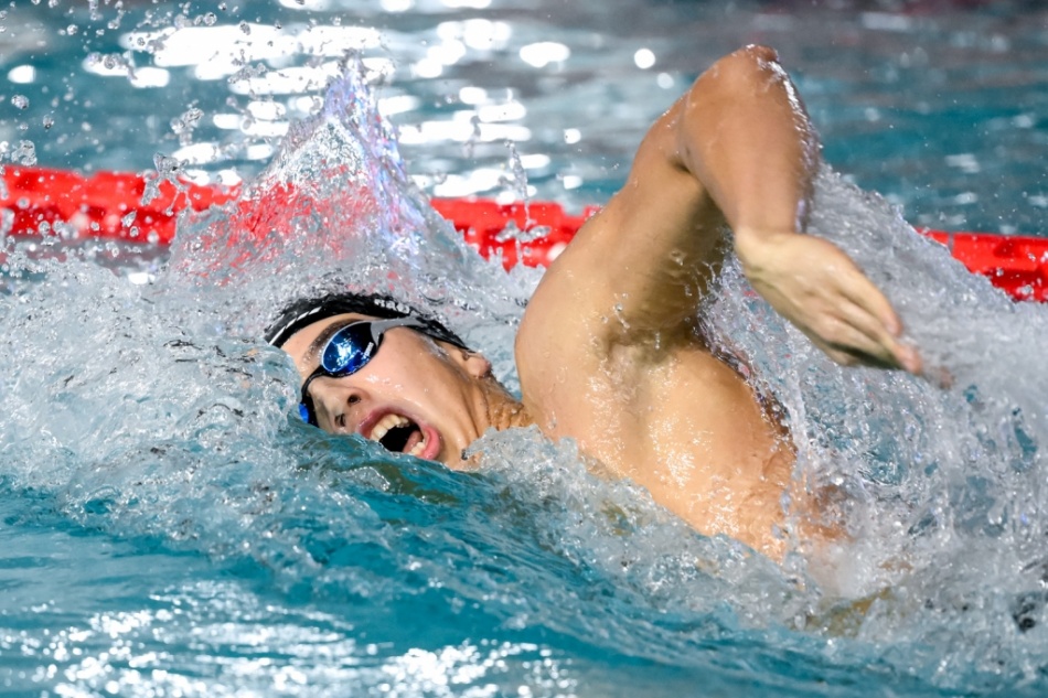 alessandro ragaini alessandro ragaini