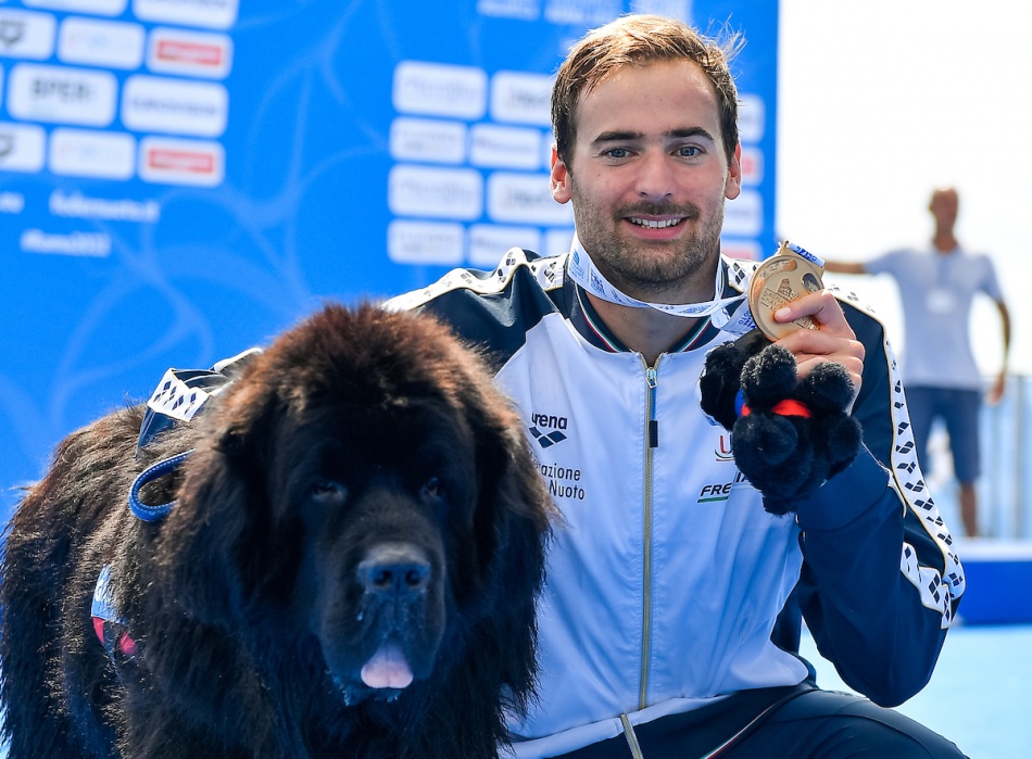 domenico acerenza domenico acerenza