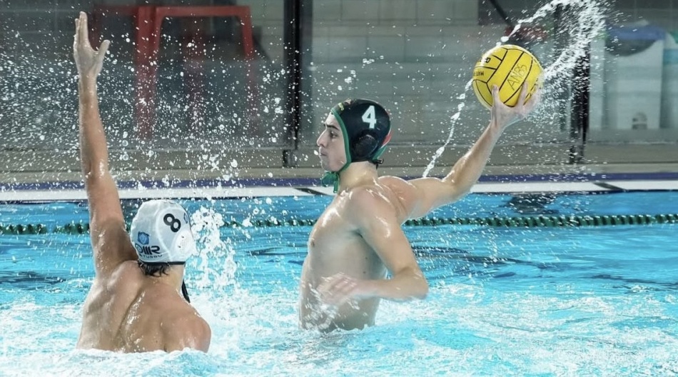 Darko Brguljan Darko Brguljan