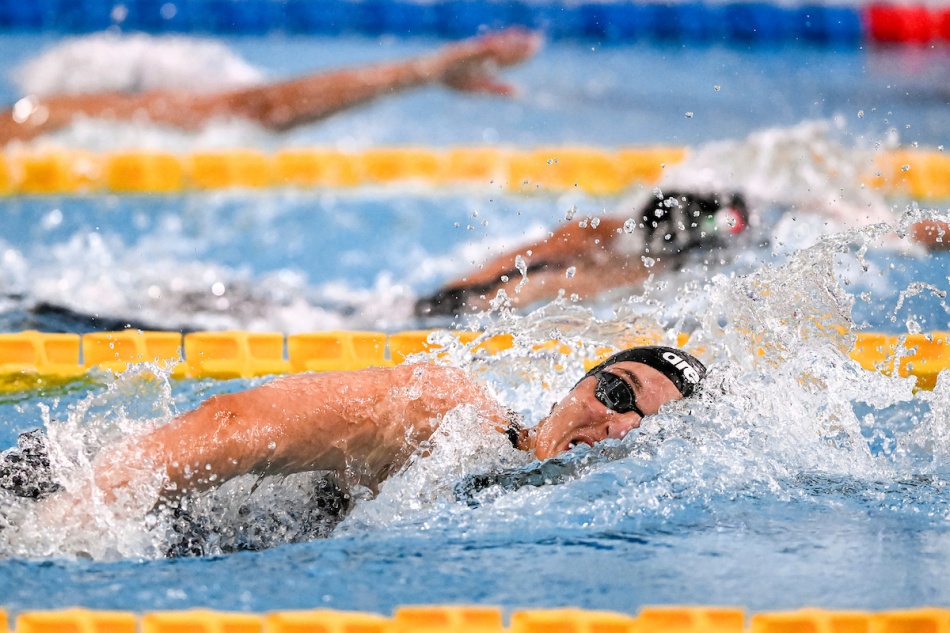 antonietta cesarano antonietta cesarano